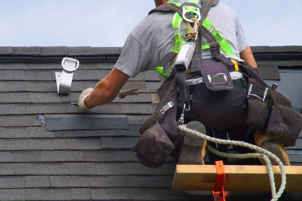 Roof Gutter Cleaning in Nellysford, VA