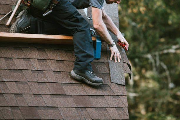Best Storm Damage Roof Repair  in Nellysford, VA